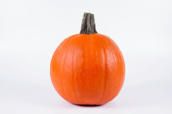 Pumpkin on white — Stock Photo, Image