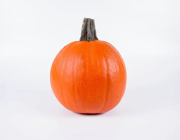 Calabaza en blanco —  Fotos de Stock