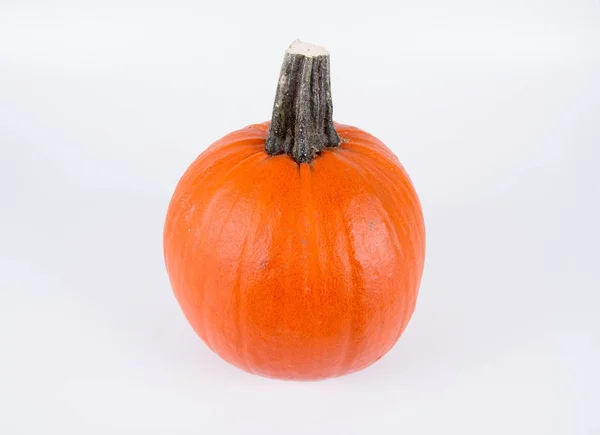 Calabaza en blanco —  Fotos de Stock