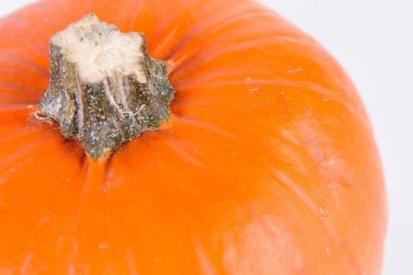 Zucca su bianco — Foto Stock