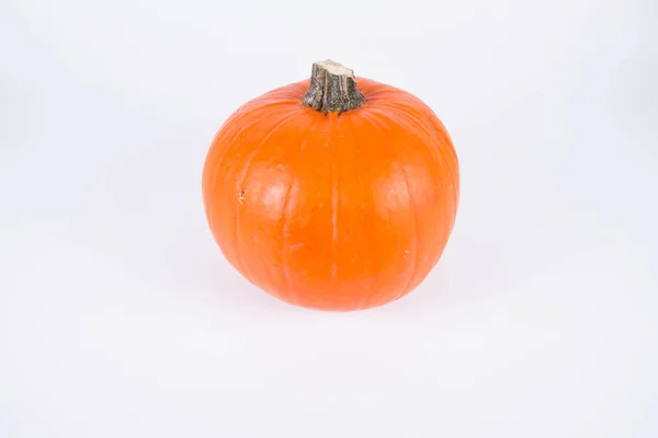 Pumpkin on white — Stock Photo, Image