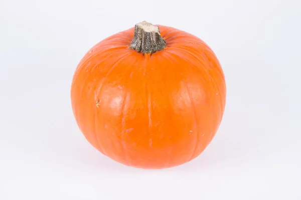 Calabaza en blanco —  Fotos de Stock