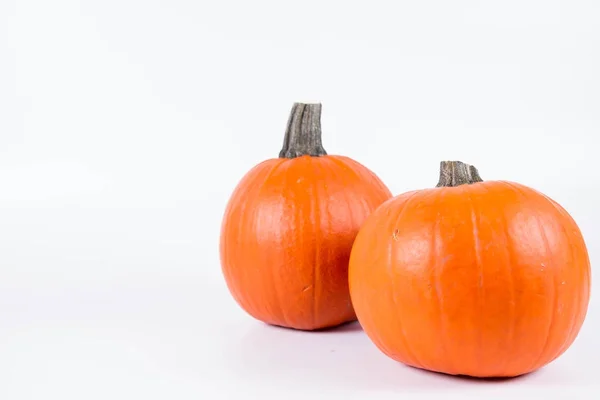 Pumpkins on white — Stok fotoğraf