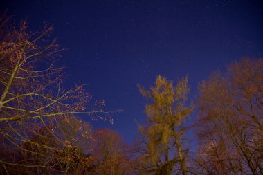 Yıldızlı gece gökyüzü