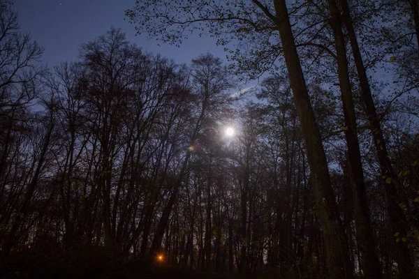 星と月の夜空 — ストック写真