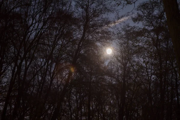 星と月の夜空 — ストック写真