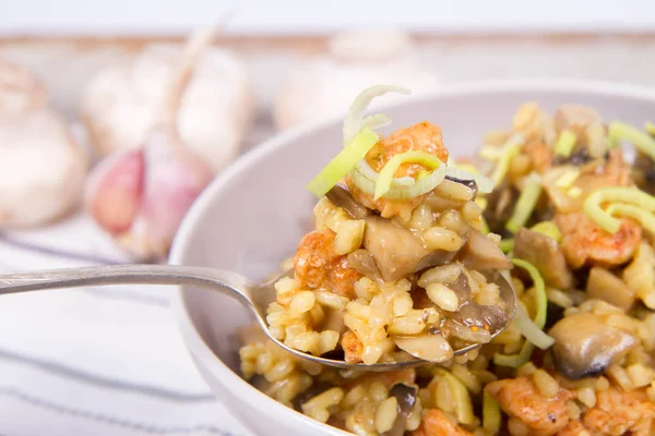 Risotto con funghi e pollo — Foto Stock