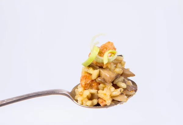 Risotto mit Pilzen und Huhn — Stockfoto