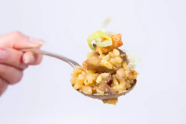 Risotto mit Pilzen und Huhn — Stockfoto