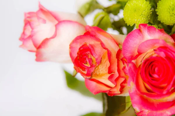 Bukiet Róż Bliska — Zdjęcie stockowe