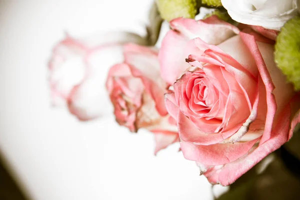 Bouquet Rose Primo Piano — Foto Stock