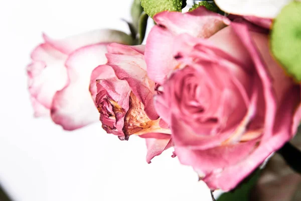 Csokor Rózsa Közelről — Stock Fotó