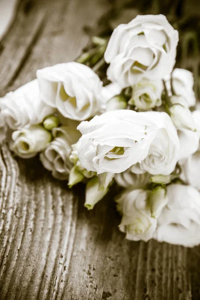 Witte Rozen Een Houten Achtergrond — Stockfoto