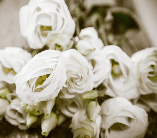 Rosas Blancas Sobre Fondo Madera — Foto de Stock