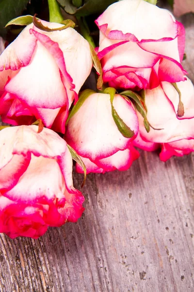 Rosas Rosadas Blancas Sobre Fondo Madera —  Fotos de Stock