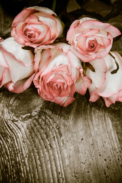 木制背景上的白色粉红色玫瑰 — 图库照片