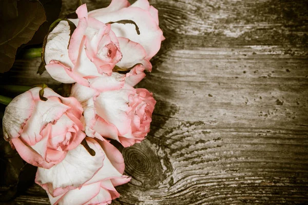 Rosas Rosadas Blancas Sobre Fondo Madera — Foto de Stock