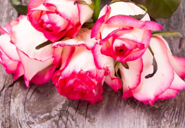 Białe Róże Różowy Podłoże Drewniane — Zdjęcie stockowe