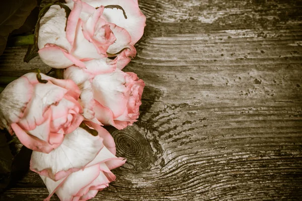 Rosas Rosadas Blancas Sobre Fondo Madera — Foto de Stock