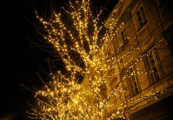 Lumières Festives Sur Les Arbres Dans Une Rue Ville — Photo