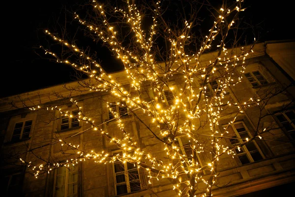 城市街道上的圣诞树上的节日彩灯 — 图库照片