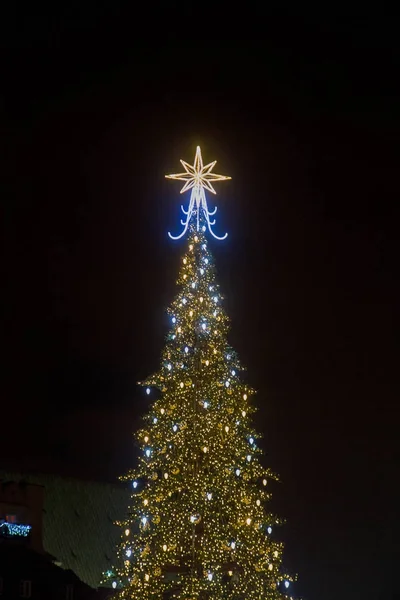 Christmas Tree Castle Square Warsaw — Stock Photo, Image