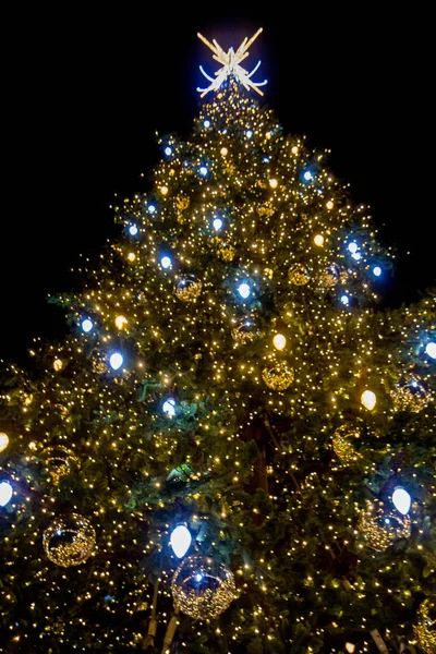 Christmas tree at Castle Square, Warsaw