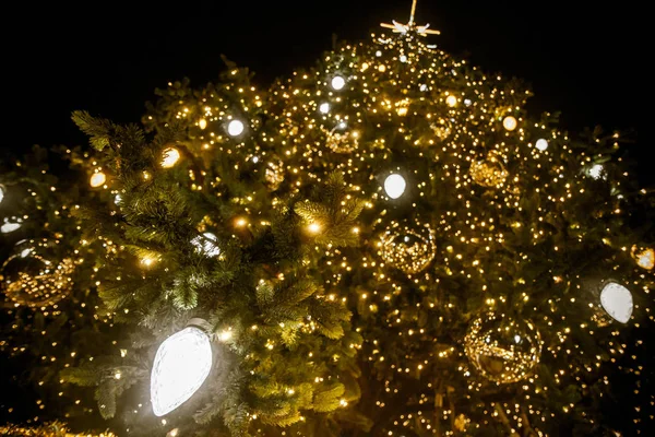 Árbol Navidad Castle Square Varsovia — Foto de Stock