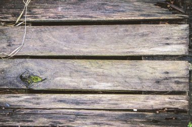 Tahta kalasları kapatın.