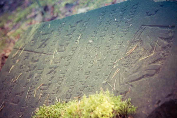 Old Jewish Cemetery — Stock Photo, Image