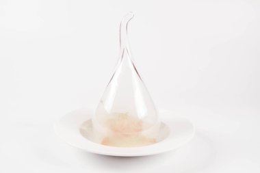 Biftek tartare yumurta sarısı, soğan, turşu, Kapari, mantar ve beyaz zemin üzerine roket salata ile servis füme