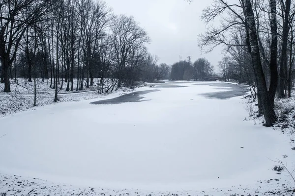 周りの木と凍った池 — ストック写真