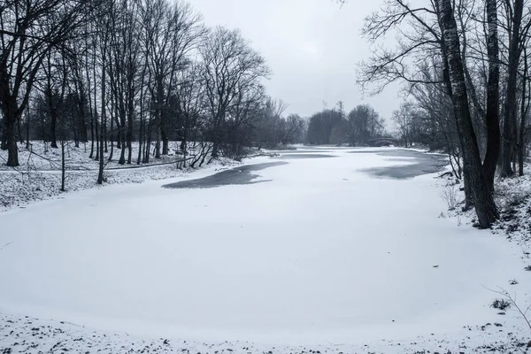 Frozen Pond Trees Royalty Free Stock Images