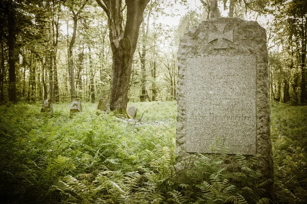 Ένα Παλαιό Γερμανικό Νεκροταφείο Που Χρονολογείται Τον Xix Αιώνα — Φωτογραφία Αρχείου