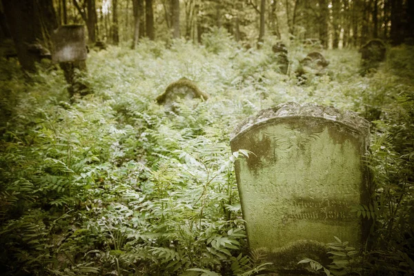 Antiguo Cementerio Alemán Que Data Del Siglo Xix —  Fotos de Stock