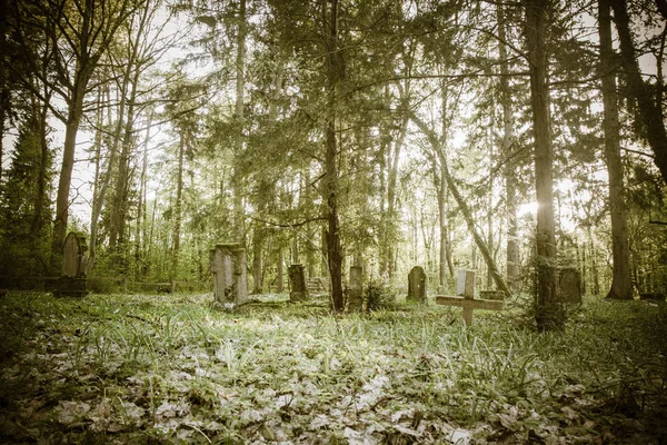 Античний Німецьке Кладовище Починаючи Xix Століття — стокове фото