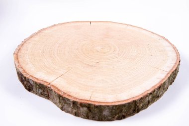 Beyaz arka planda taze meşe ağacı dilimi