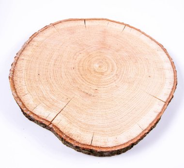 Beyaz arka planda taze meşe ağacı dilimi