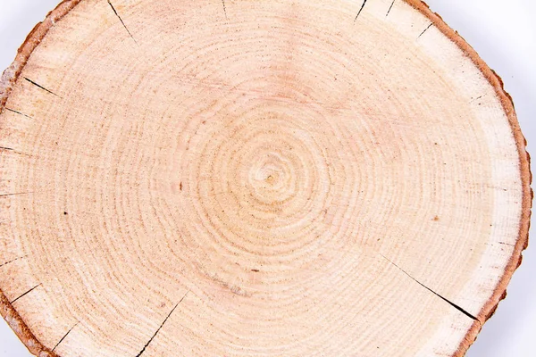 Trozo Madera Fresca Roble Sobre Fondo Blanco — Foto de Stock