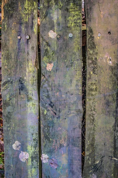 Tło Drewniane Deski Ławki Bliska Przyklejonymi Liśćmi — Zdjęcie stockowe