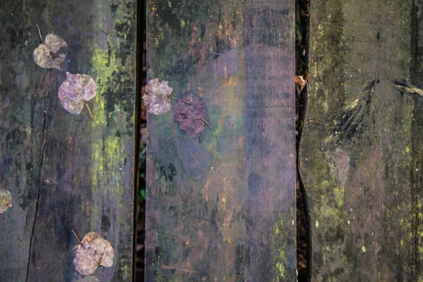 Hintergrund Holzplanken Einer Bank Großaufnahme Der Einige Blätter Stecken — Stockfoto