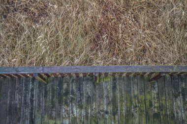 Ahşap manzara kulesi. Platform ve çim üzerine odaklanmış aşağı doğru bir manzara. 