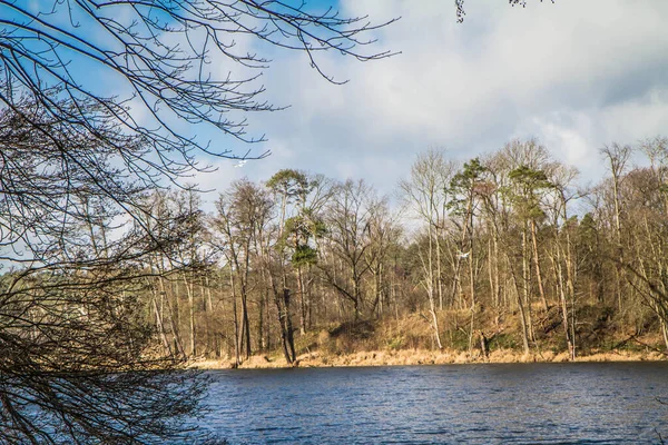 Lago Com Cisnes Voando Distância — Fotografia de Stock