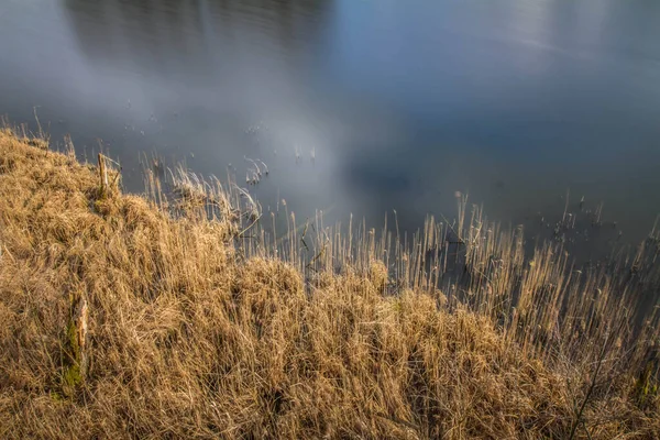 Close up of reeds and a lake surface - a long exposure