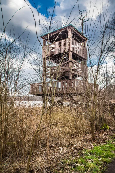 Torre Vista Legno Una Foresta — Foto Stock