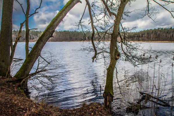 Jezero Pozdní Zimě — Stock fotografie