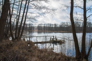 Sazlıklarla çevrili bir göldeki köprü.