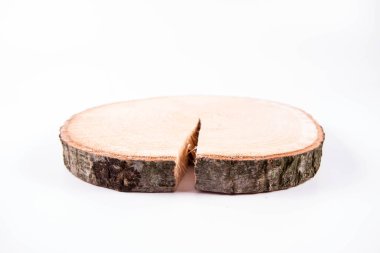 Beyaz arka planda taze meşe ağacı dilimi