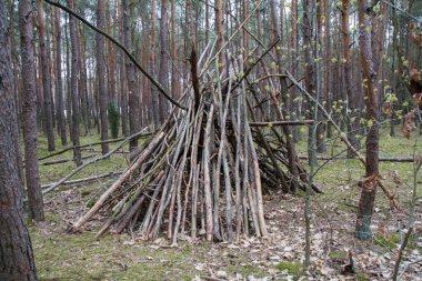 Ormanda bir kulübe.