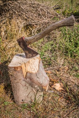 Kesme bloğuna gömülü balta